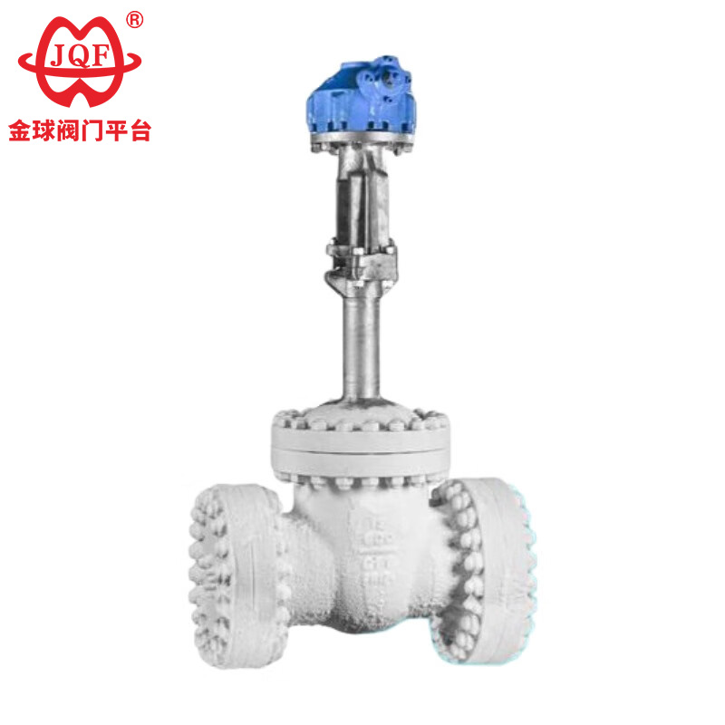 Stainless Steel Cryogenic Gate Valve